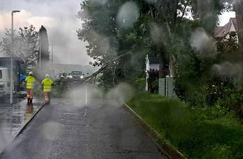 Feuerwehrleute entfernen einen umgestürzten Baum, der auf einer Straße liegt.