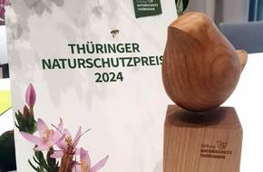 Der Thüringer Naturschutzpreis 2024 steht mit Blumen auf einem Tisch, öffnet größere Ansicht