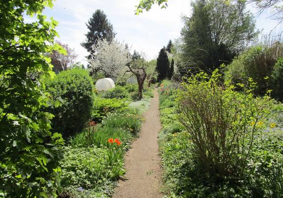 Ein Garten mit Blumen und Kiesweg, Flurstück 277. öffnet größere Ansicht