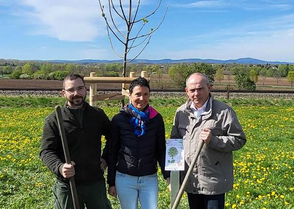 Oberbürgermeister Knut Kreuch, Claudia Heß (Amtsleiterin Gartenamt) und ein Mitarbeiter des Gartenamtes stehen vor der neu gepflanzten Mehlbeere. öffnet größere Ansicht