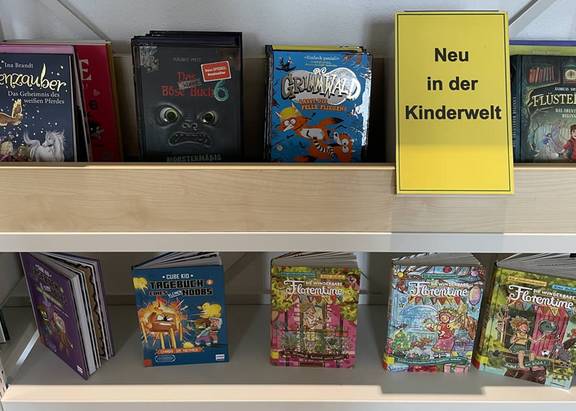 Viele Bücher stehen in einem Regal, öffnet größere Ansicht